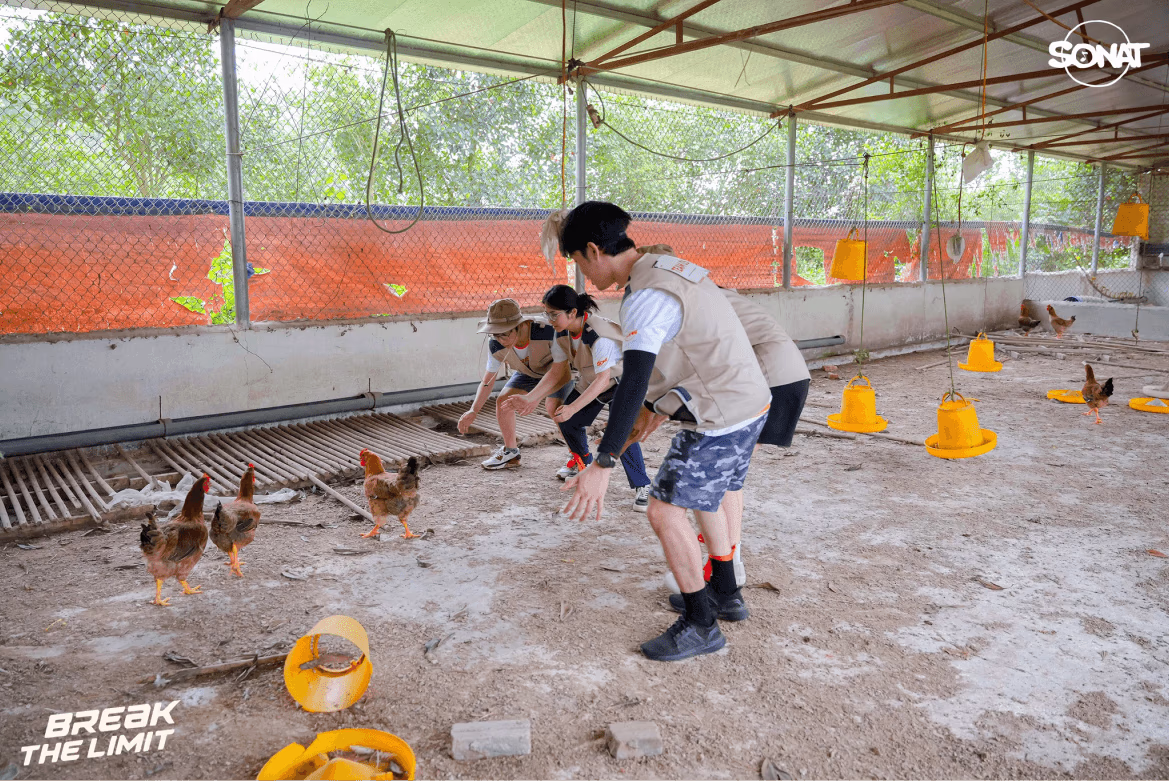image_46_7616a37786.png.avif